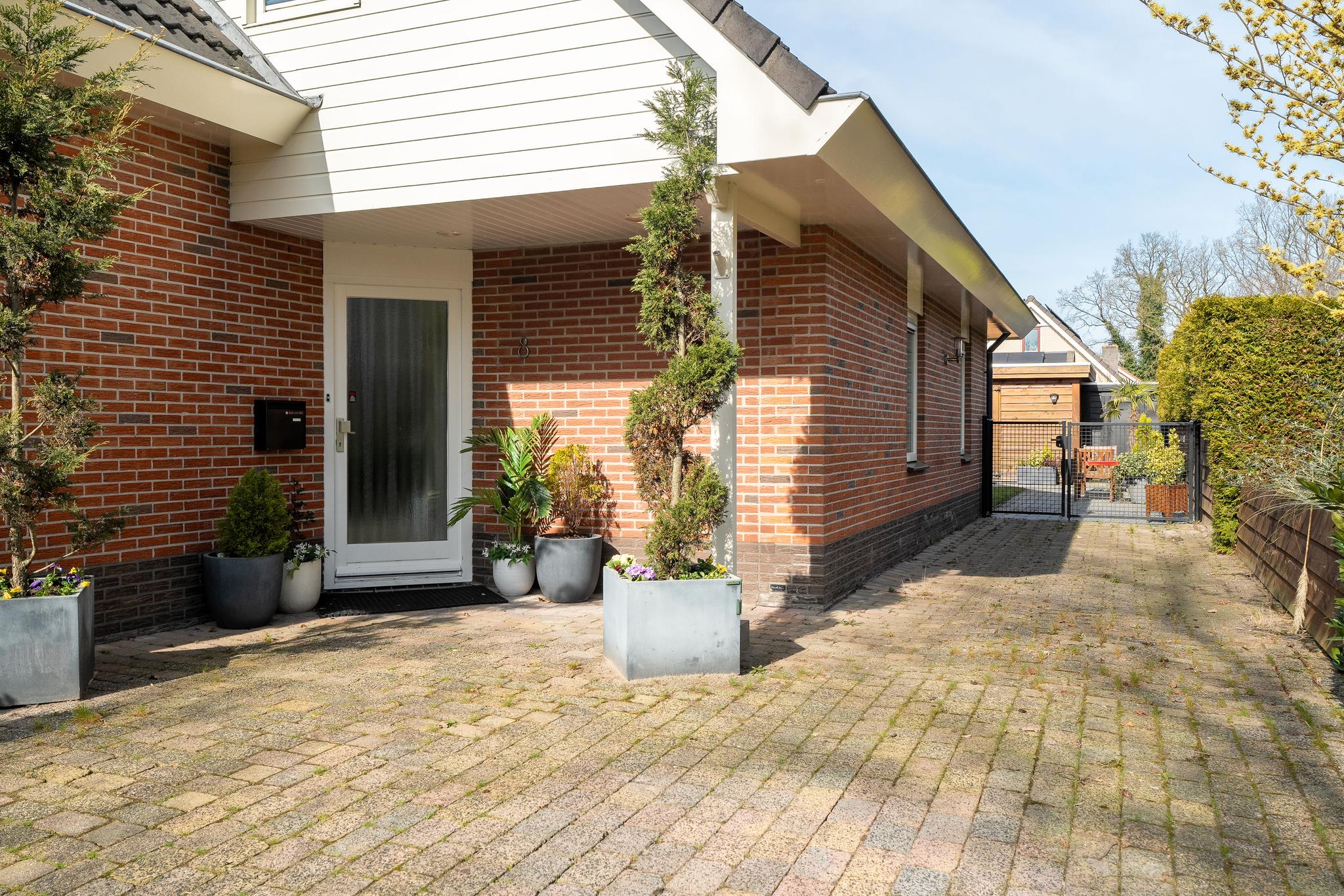 Zwanebloem 8