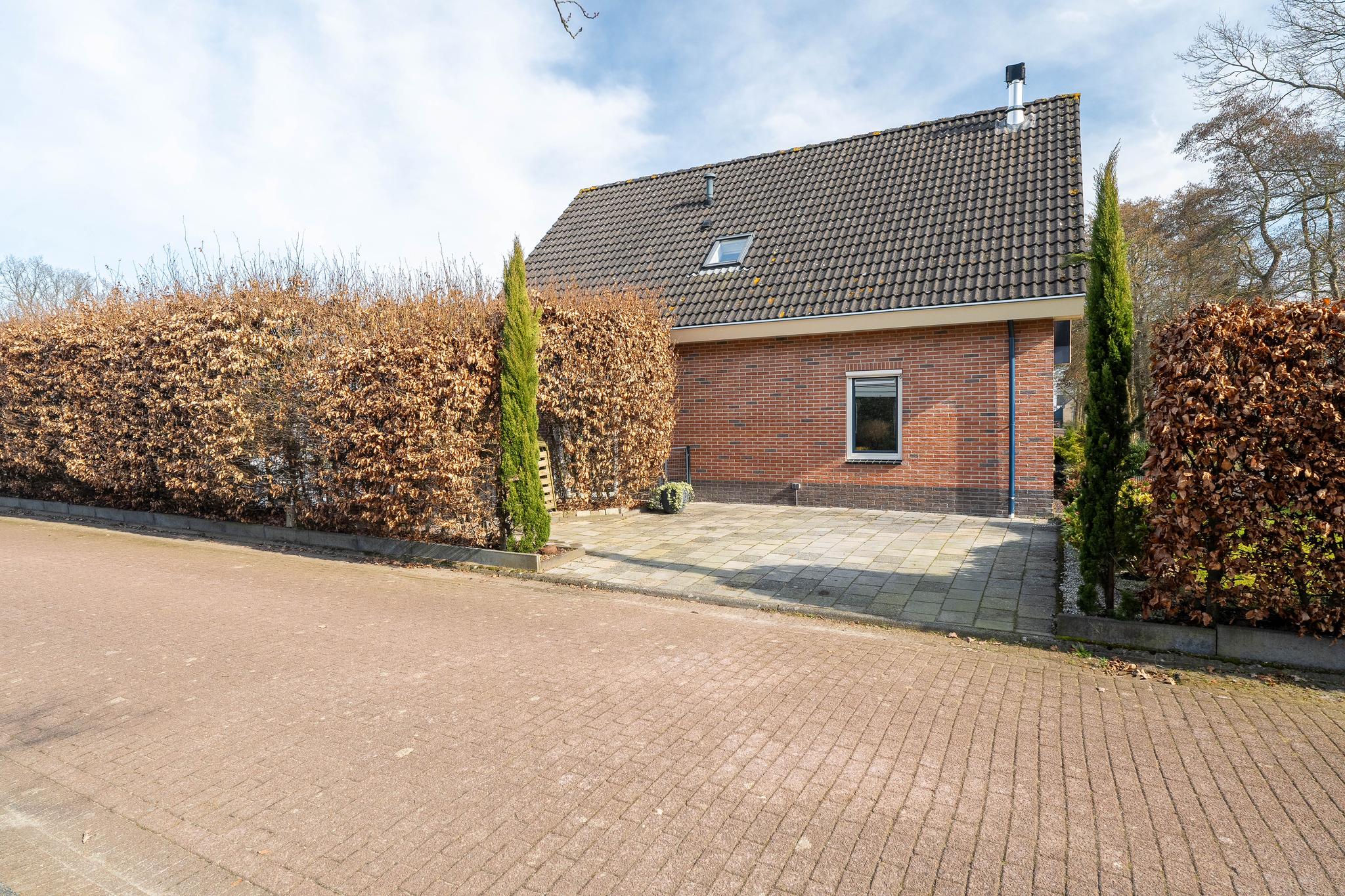 Zwanebloem 8