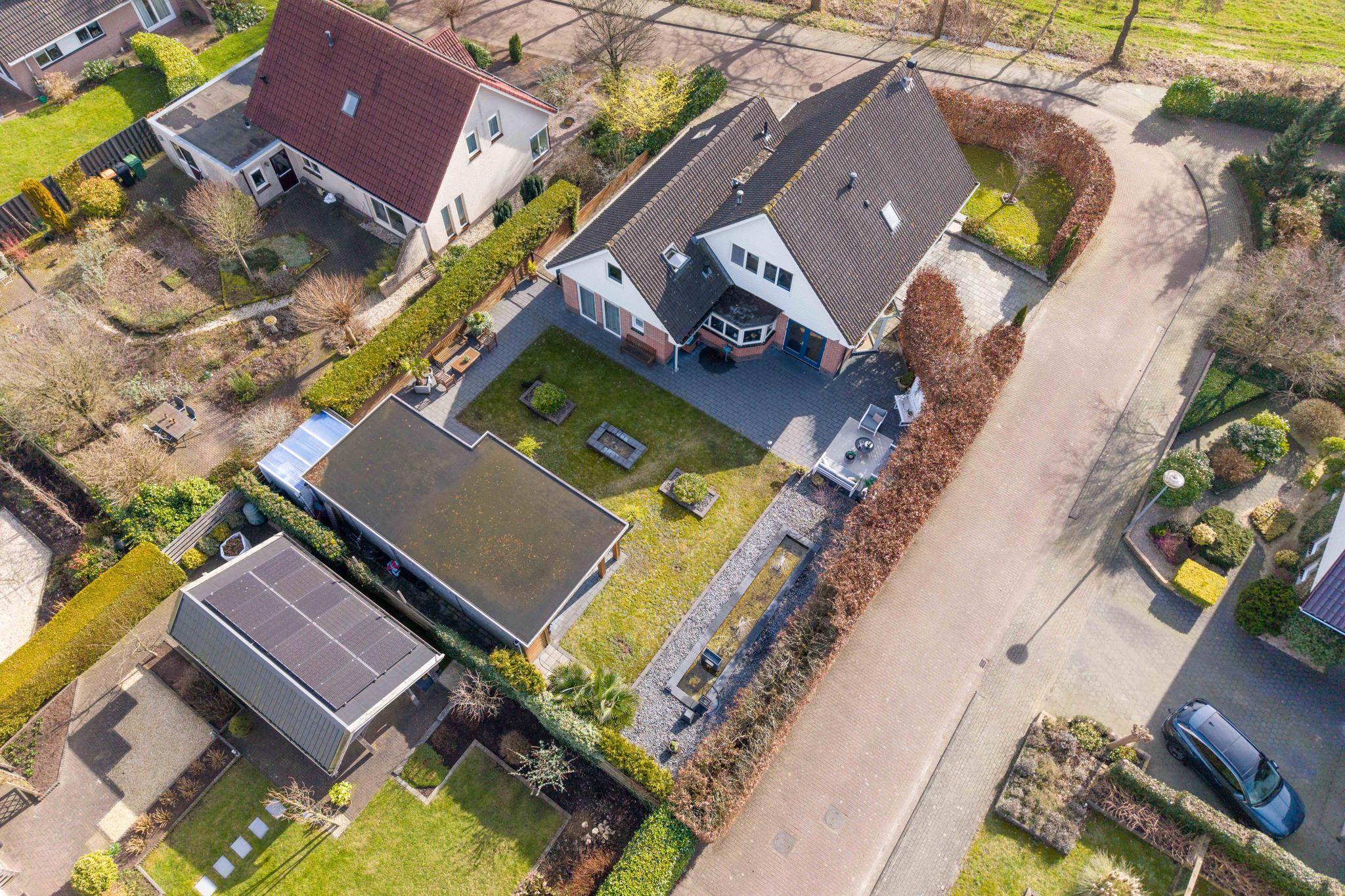 Zwanebloem 8