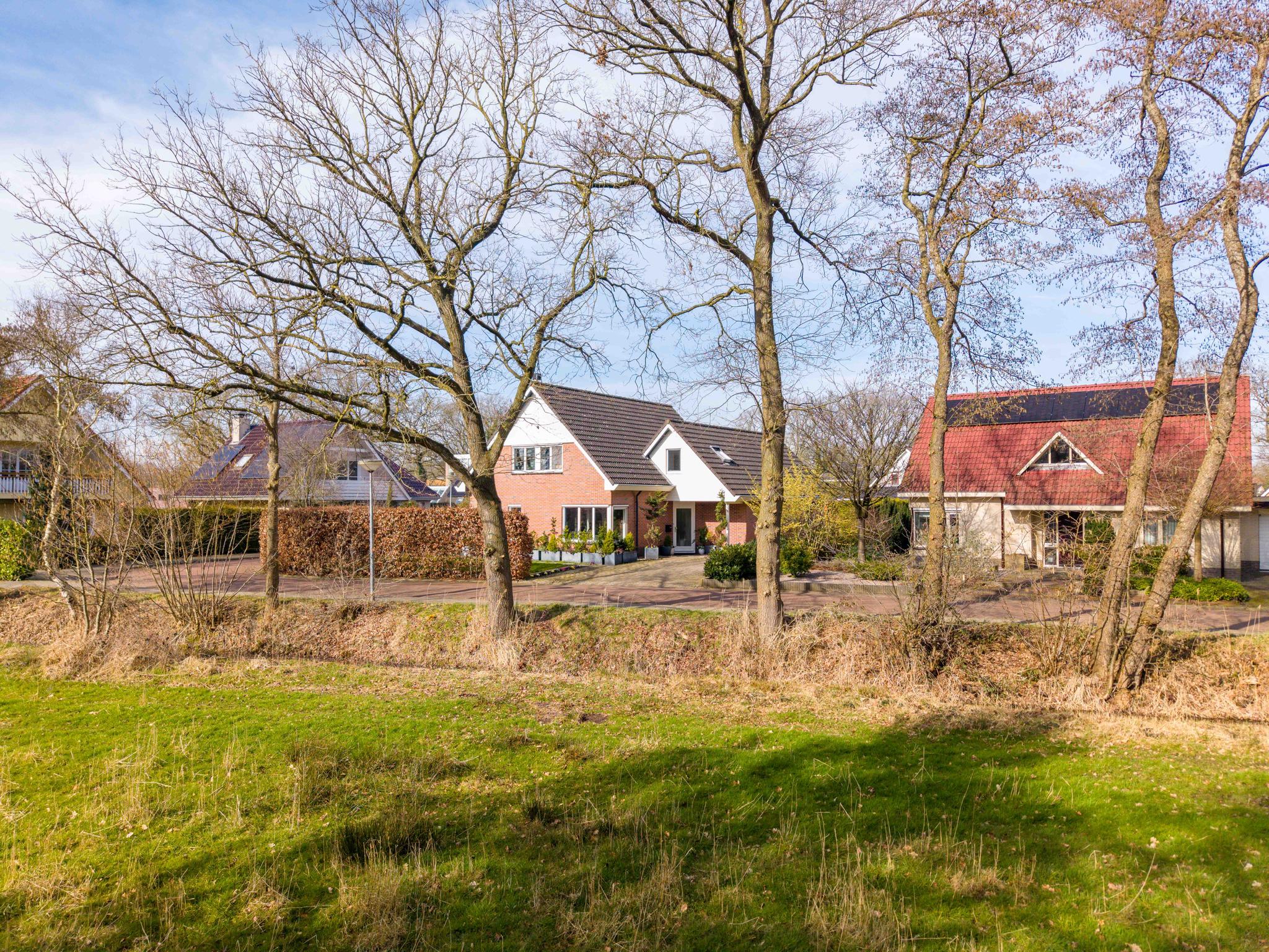 Zwanebloem 8