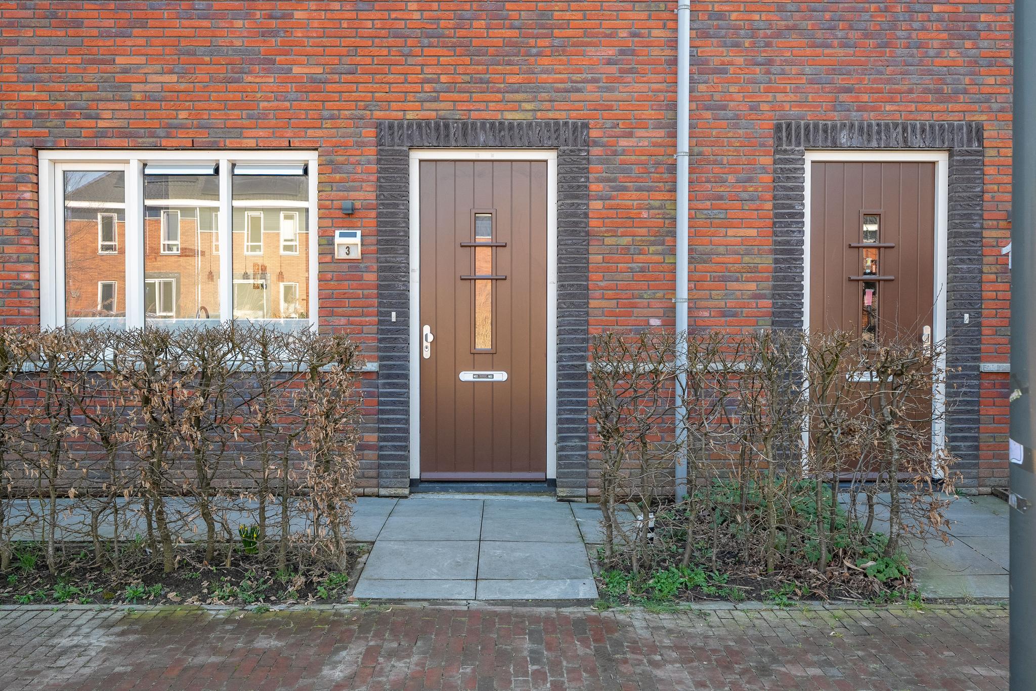 Honderdspint 3