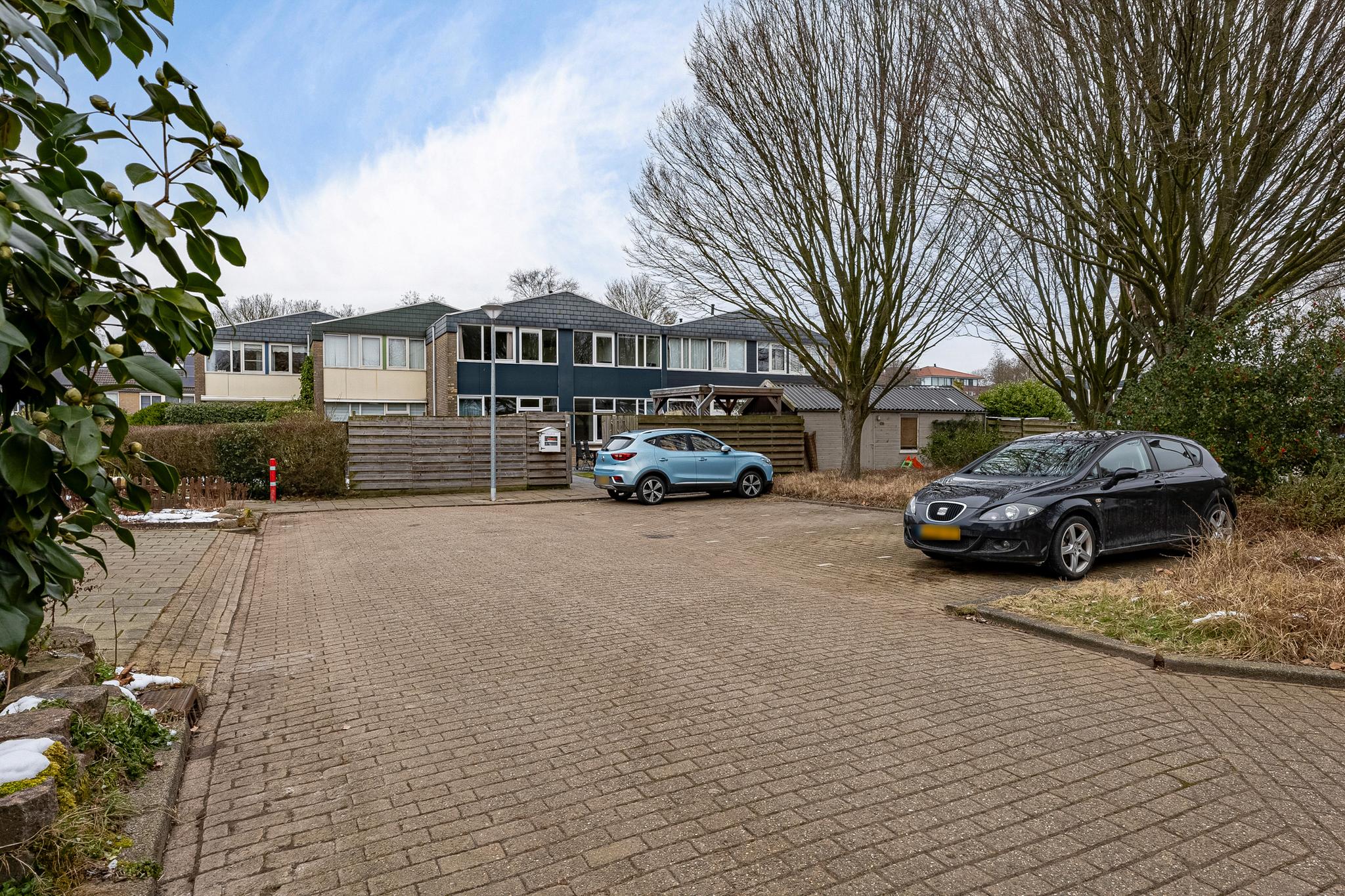 Van Drielstlaan 64