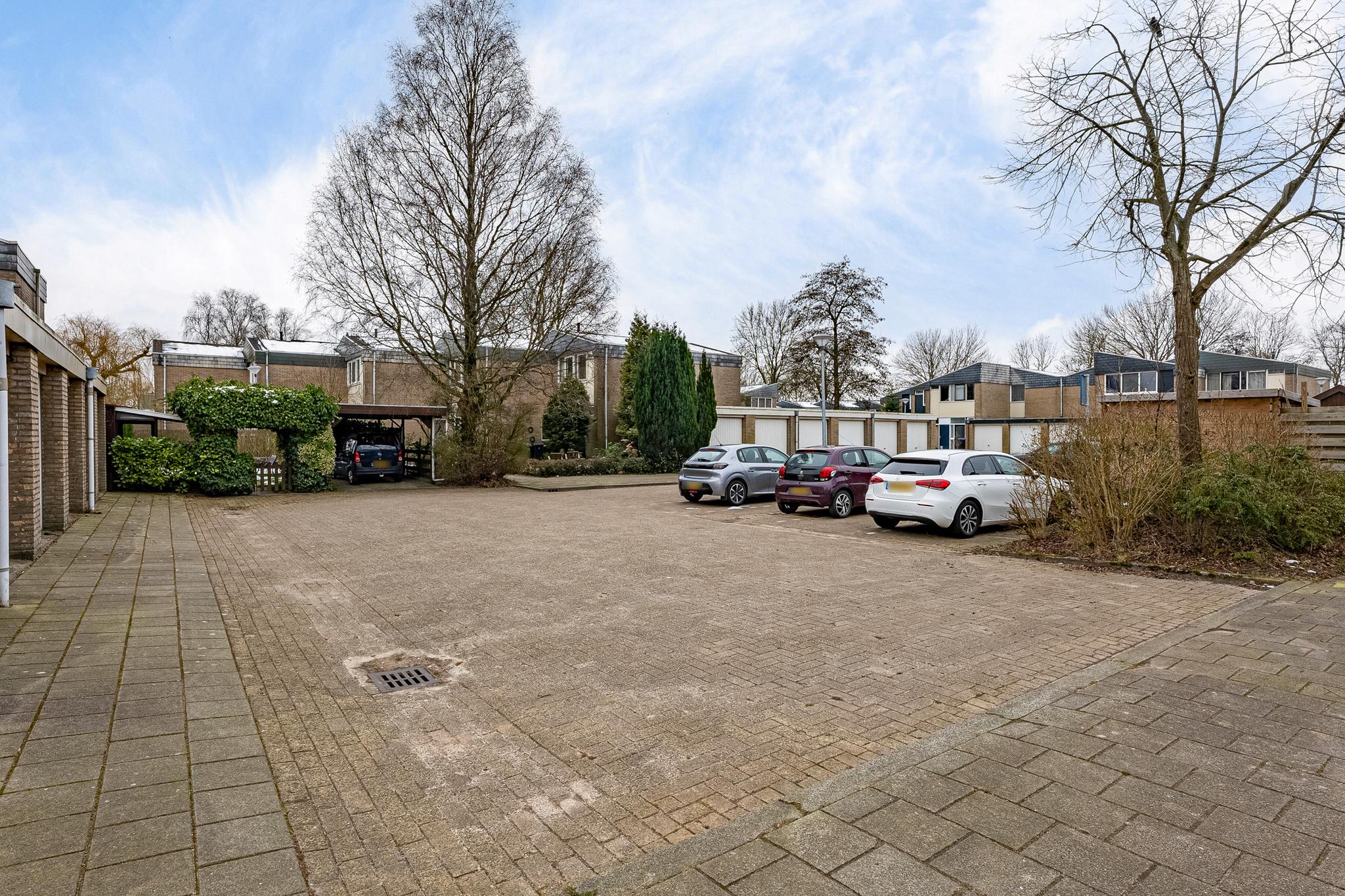 Van Drielstlaan 64