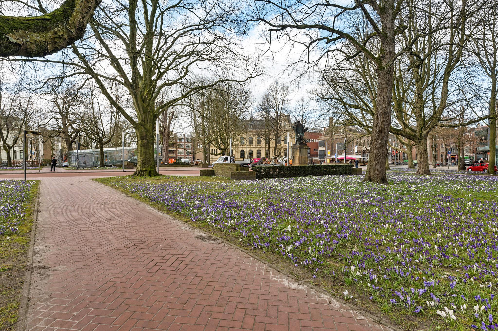 Hereplein 14