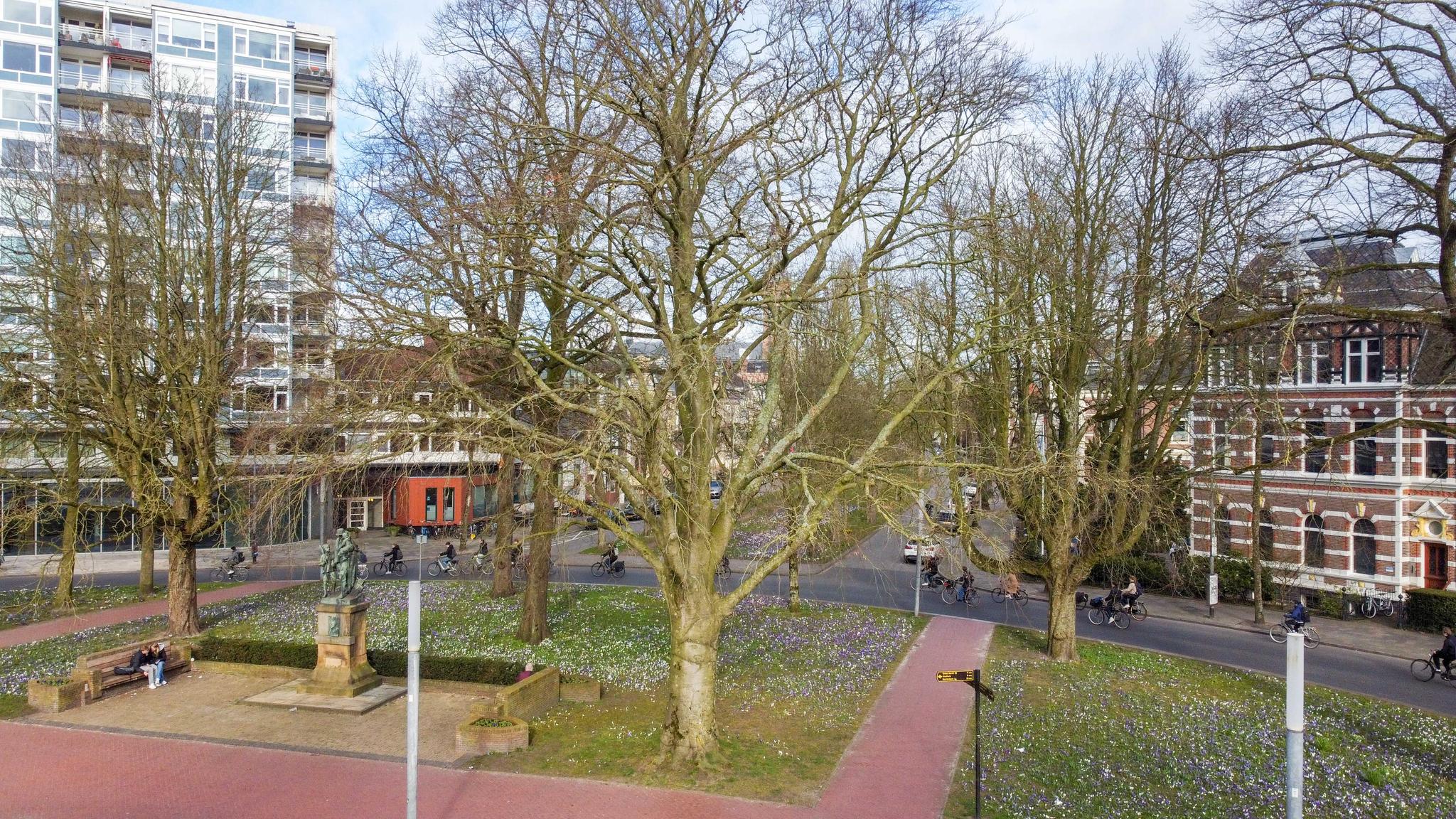Hereplein 14