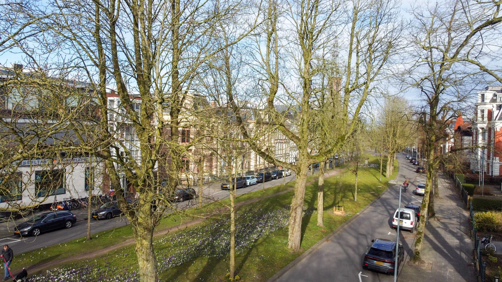 Hereplein 14