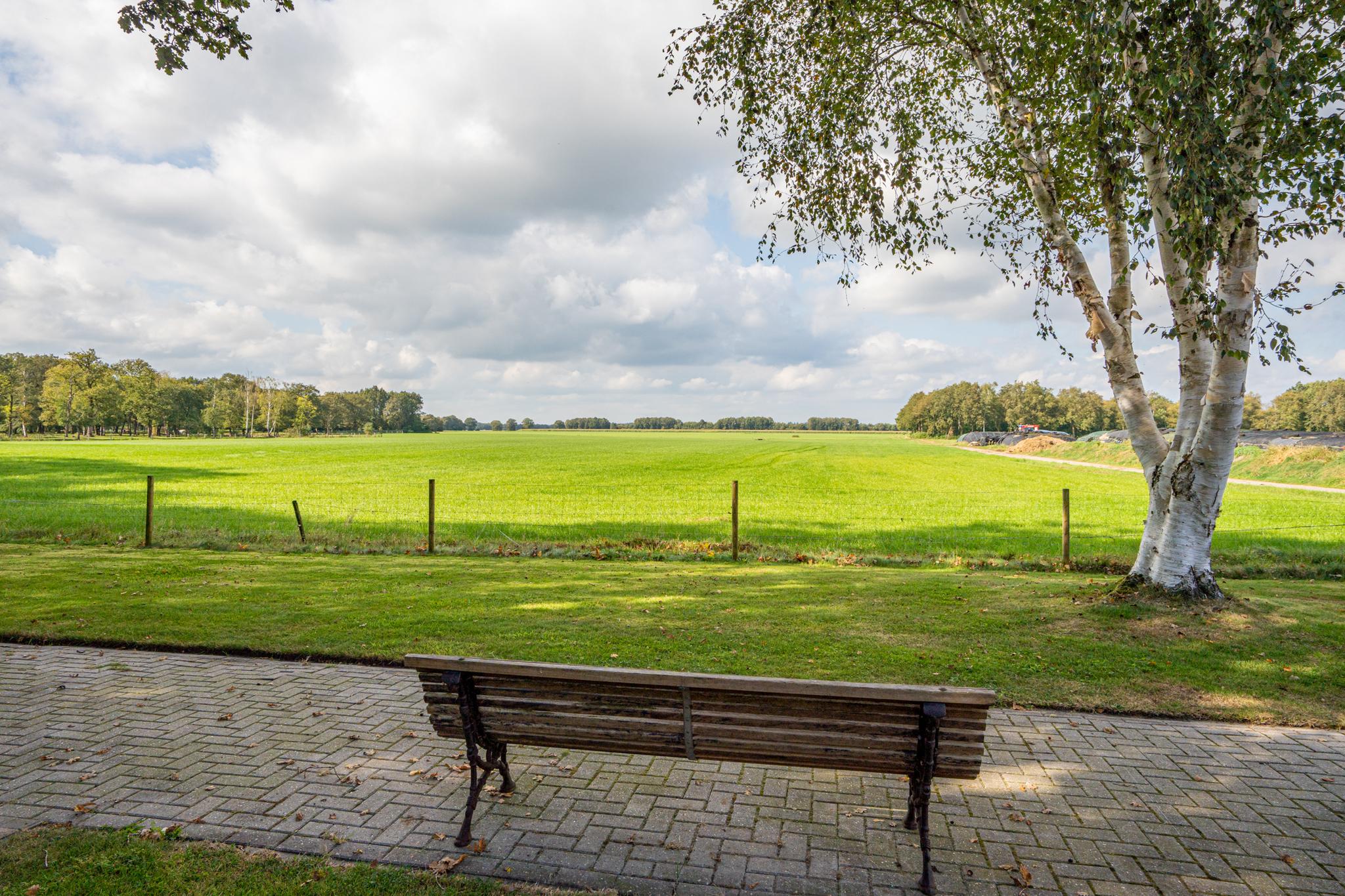 Schapendrift 6