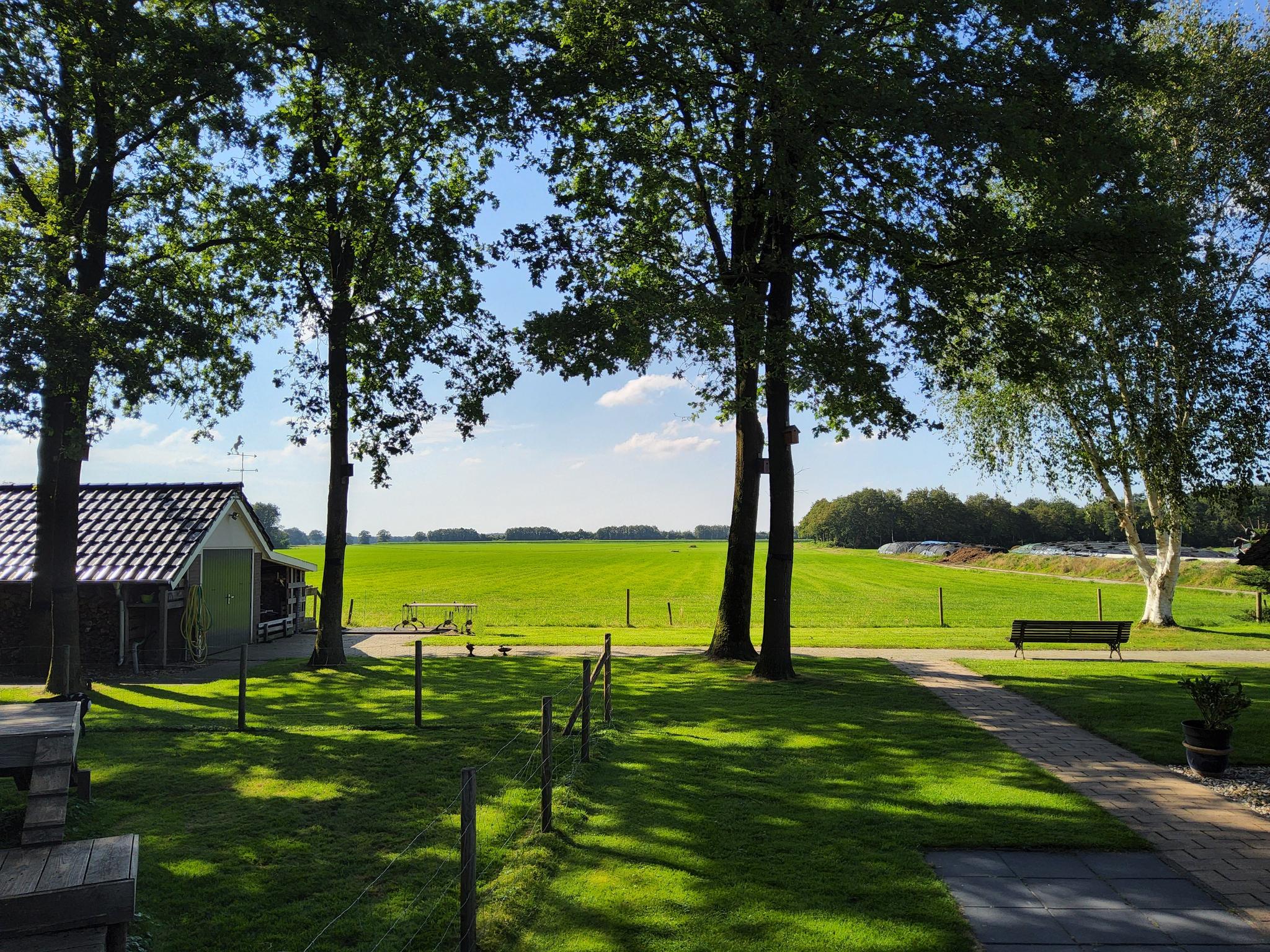Schapendrift 6