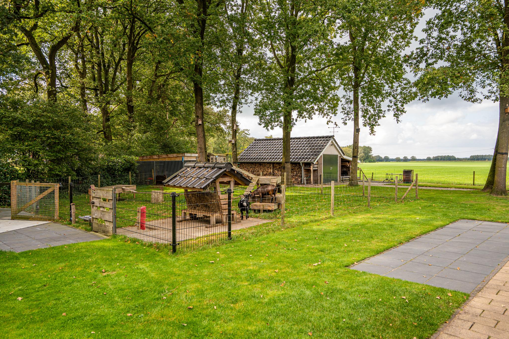 Schapendrift 6