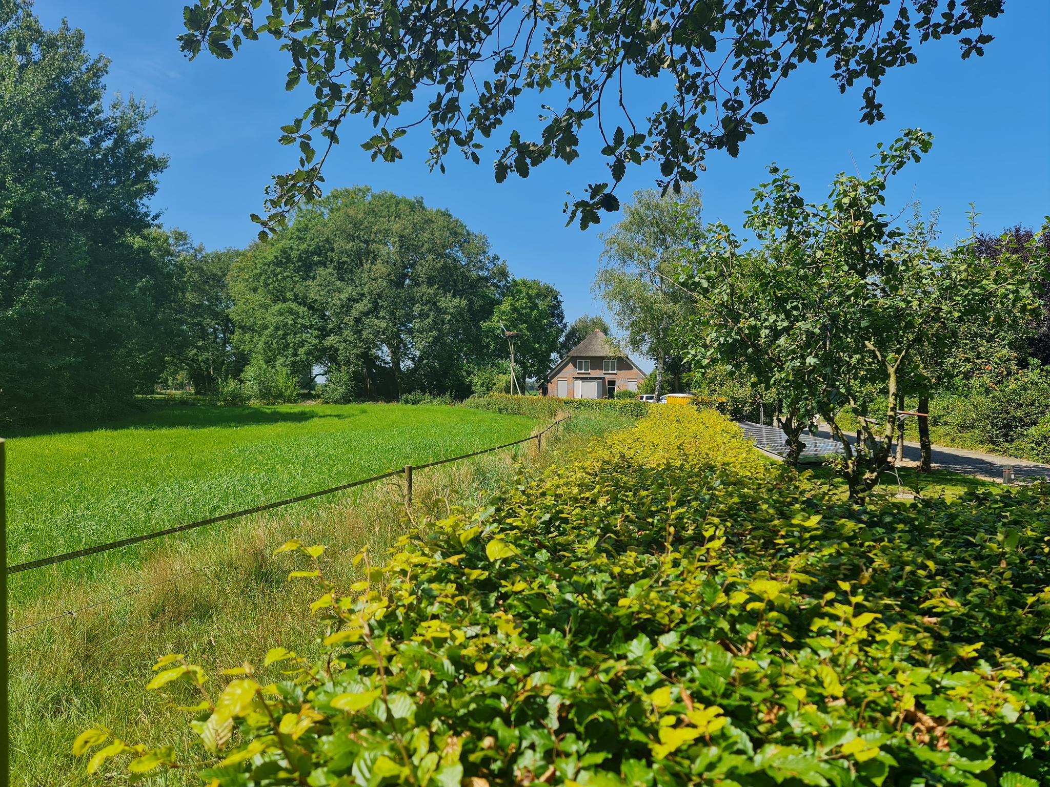 Schapendrift 6