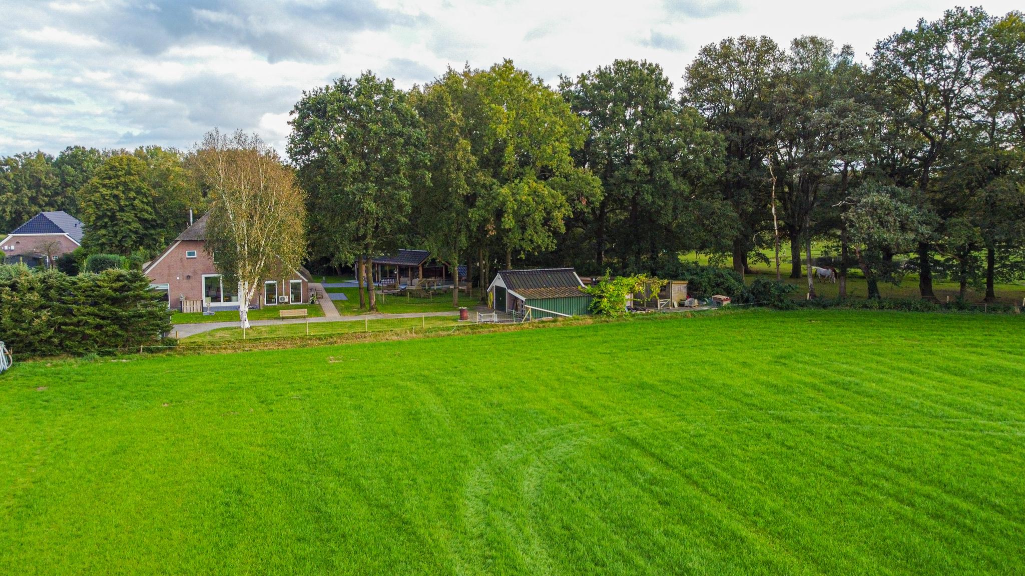 Schapendrift 6