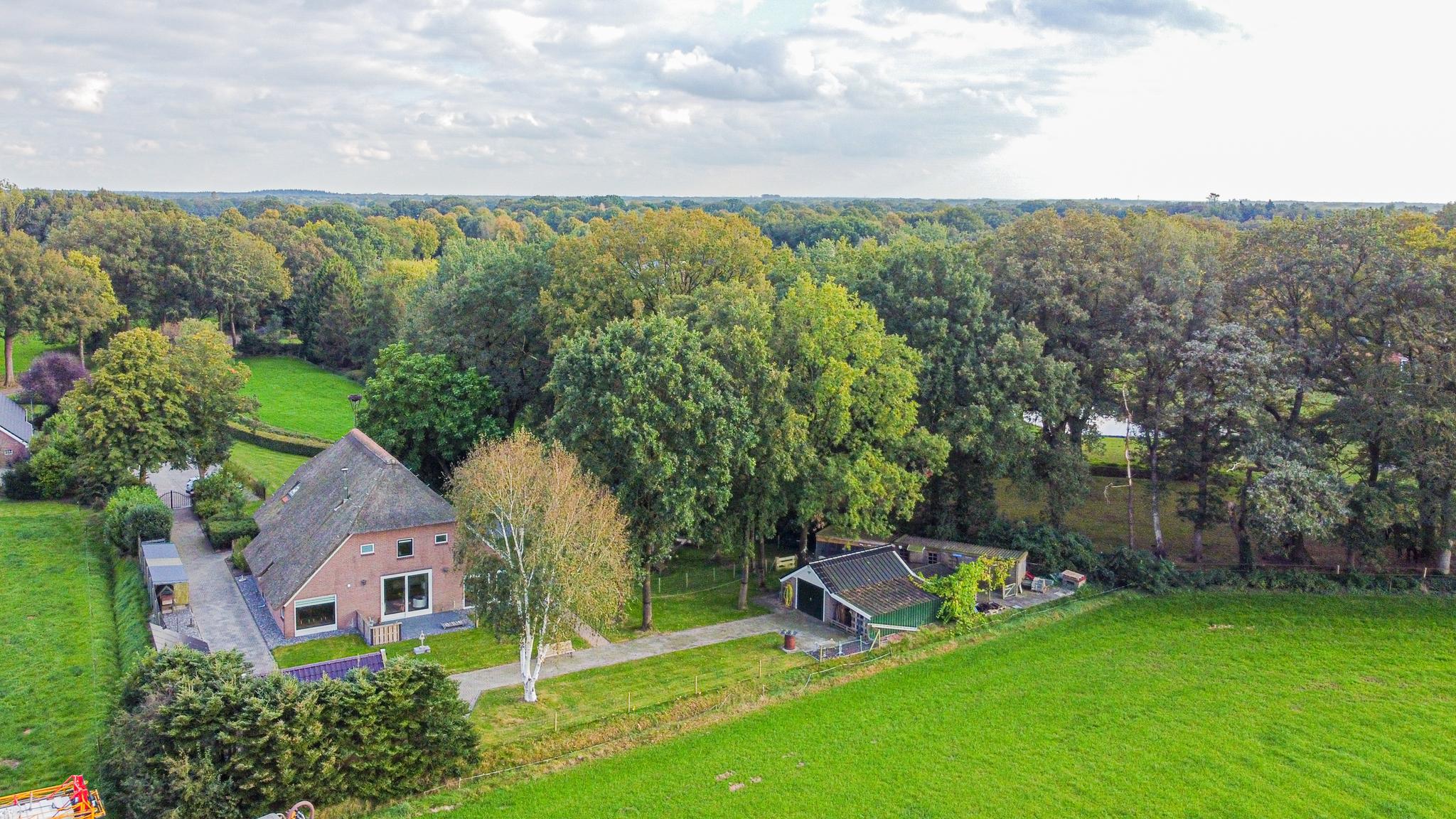 Schapendrift 6