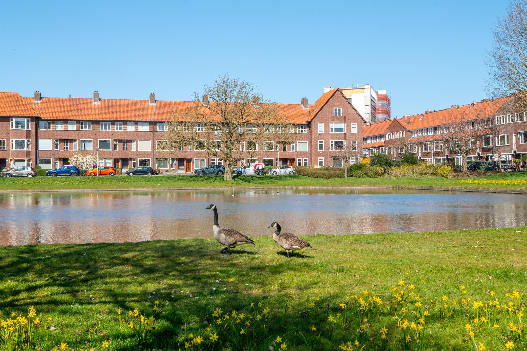 Van Brakelplein 50