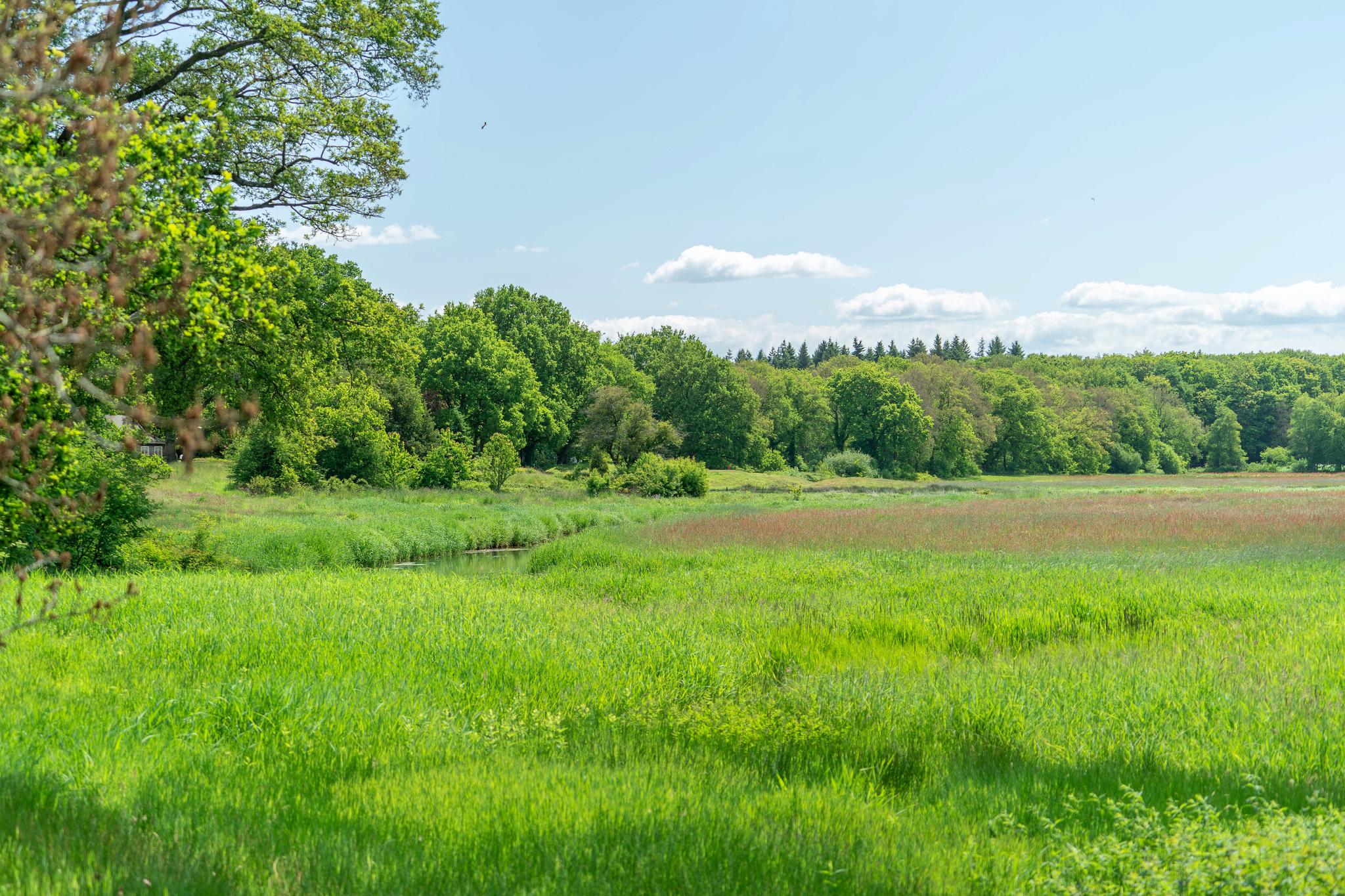 Ruiterweg 15
