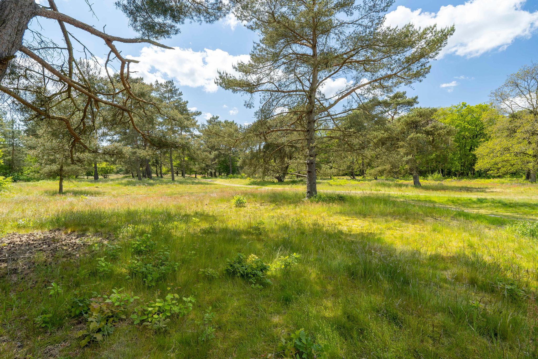 Ruiterweg 15