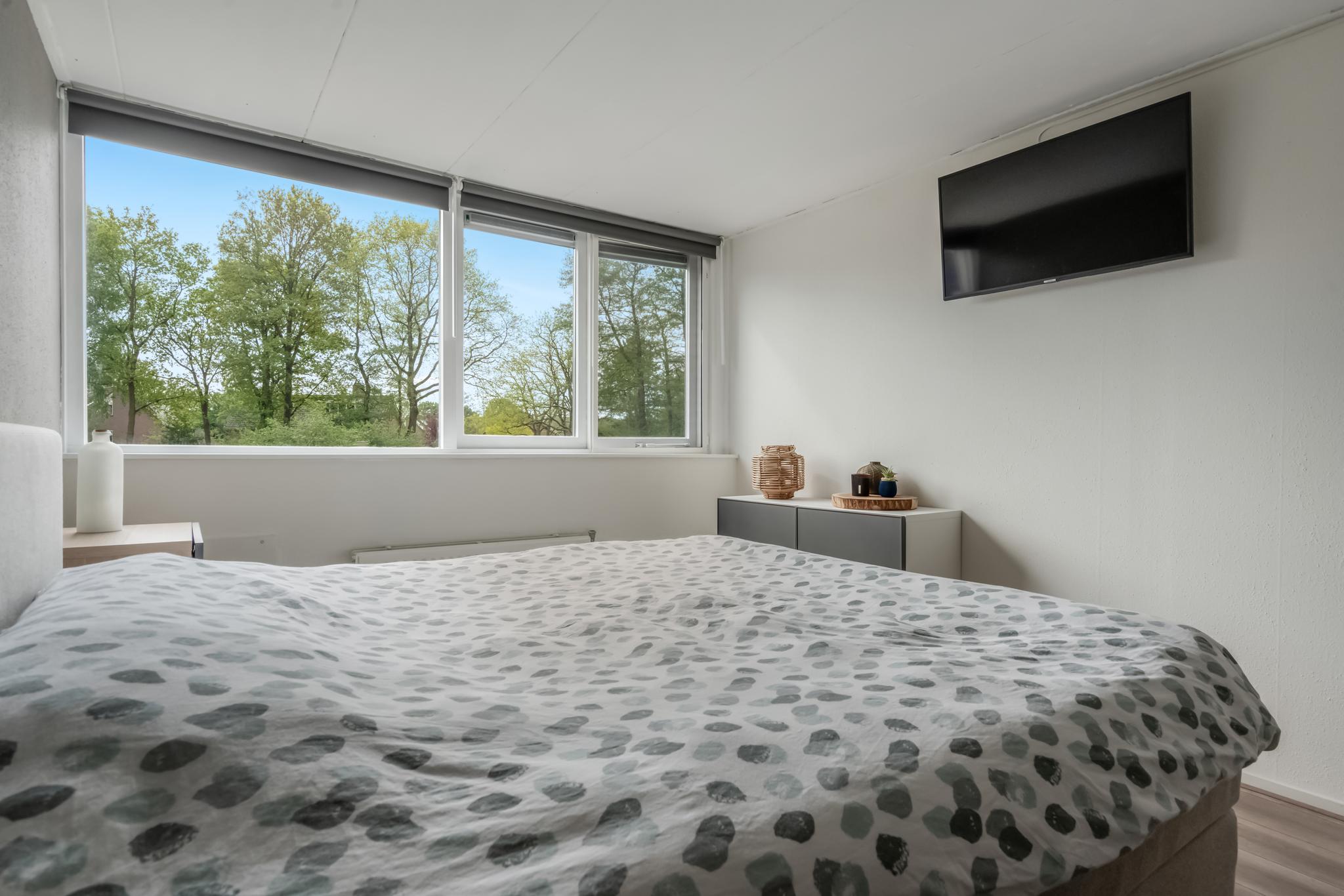 Boermarke 36