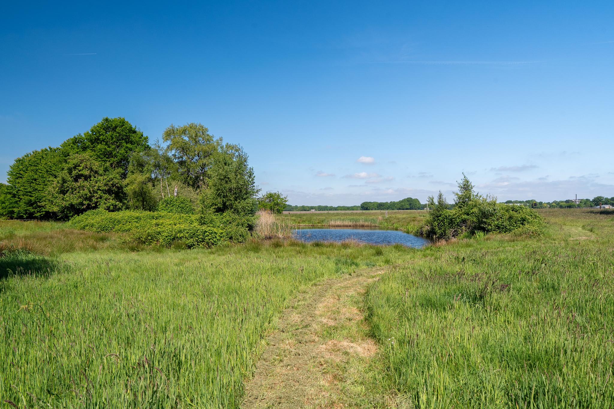 Tolhuisweg 21