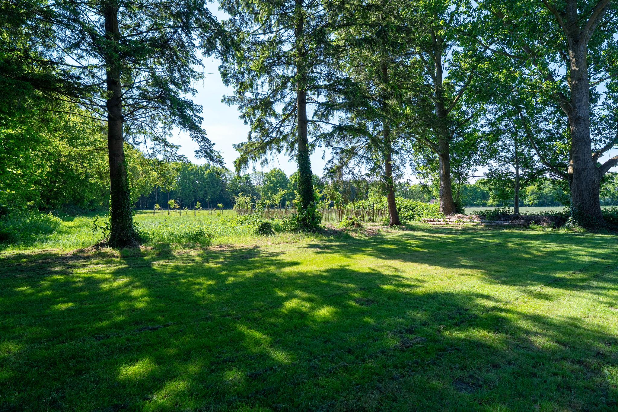 Tolhuisweg 21