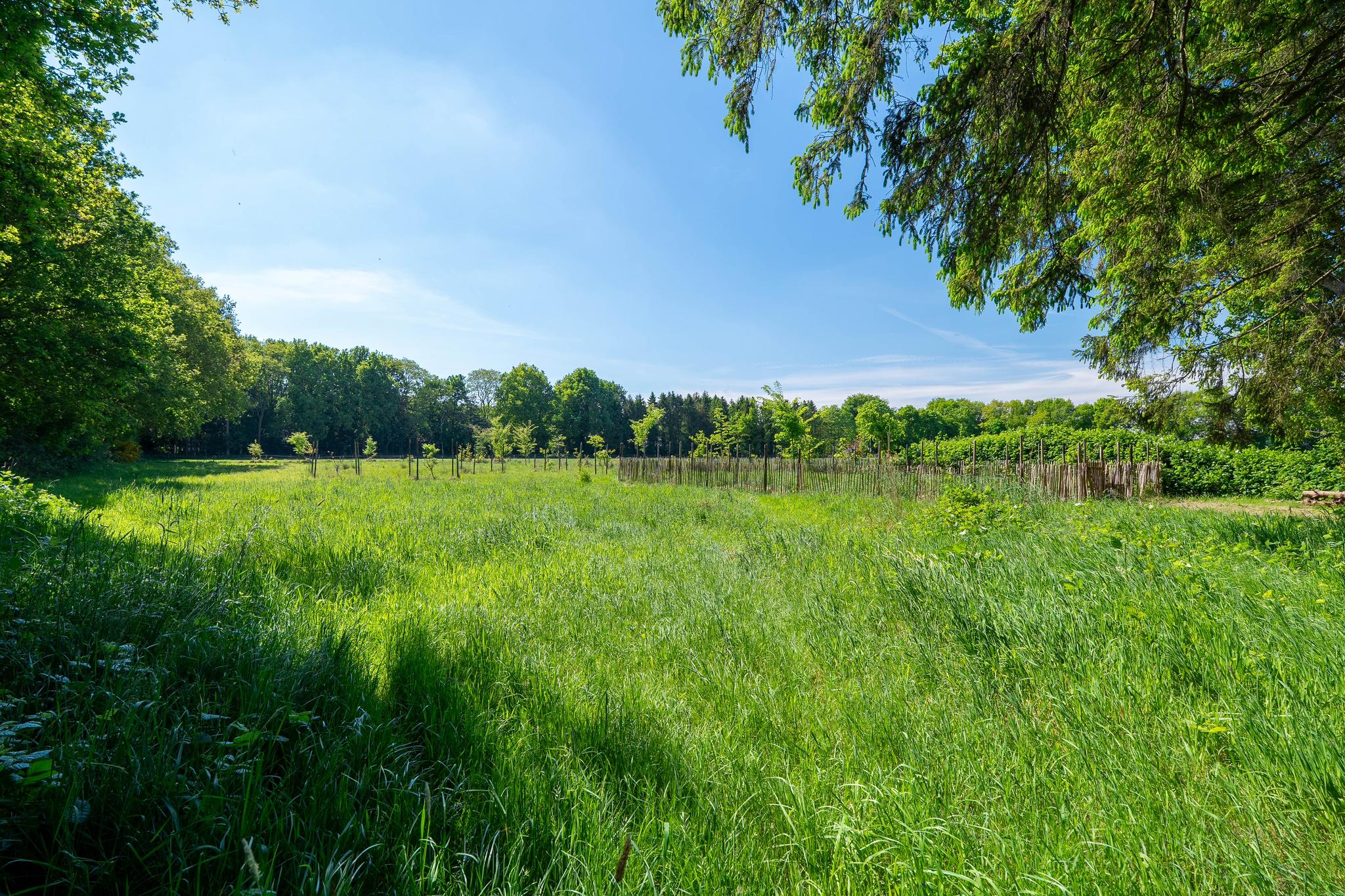 Tolhuisweg 21