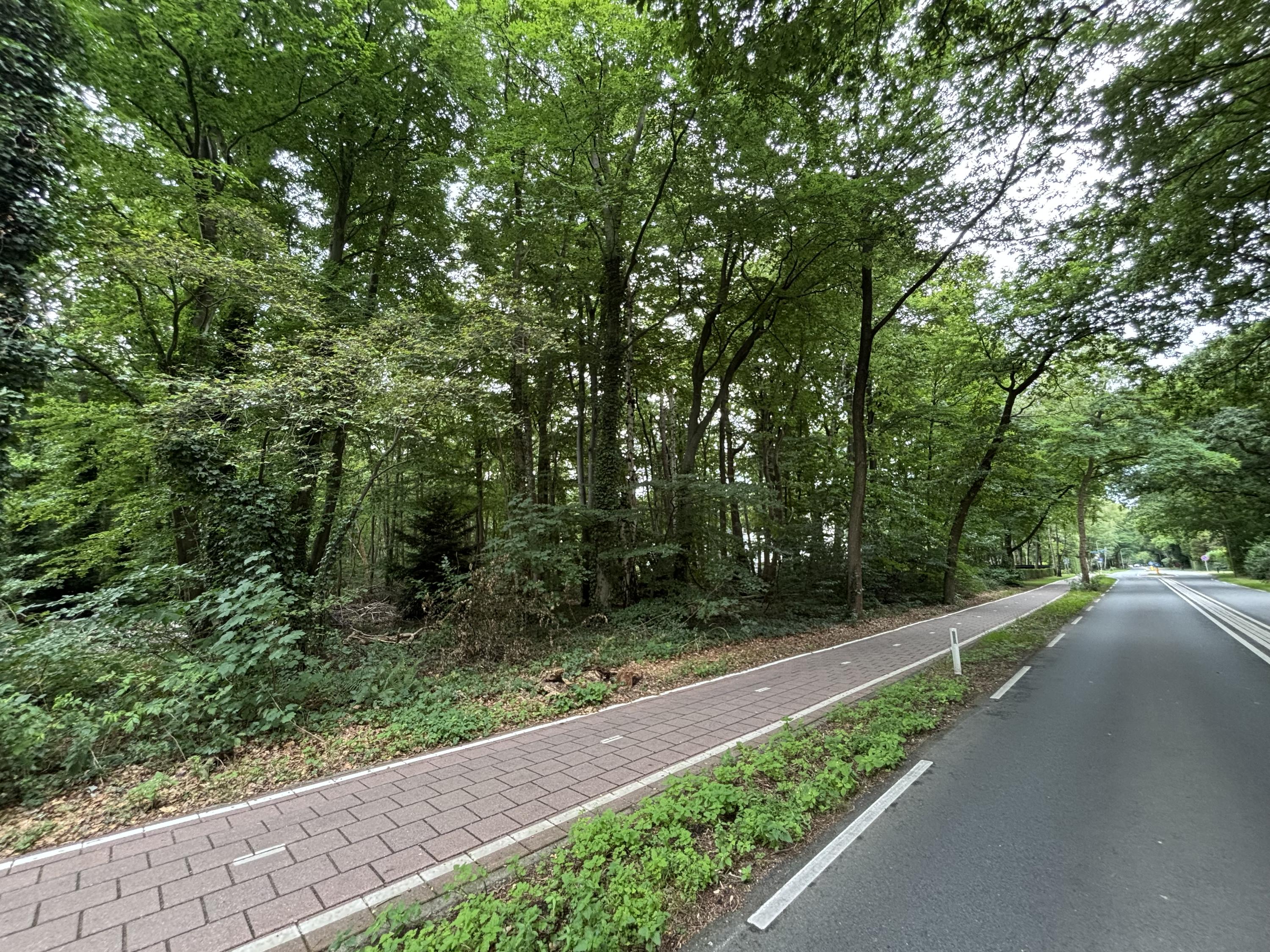 Prins Hendriklaan 7 0 ong