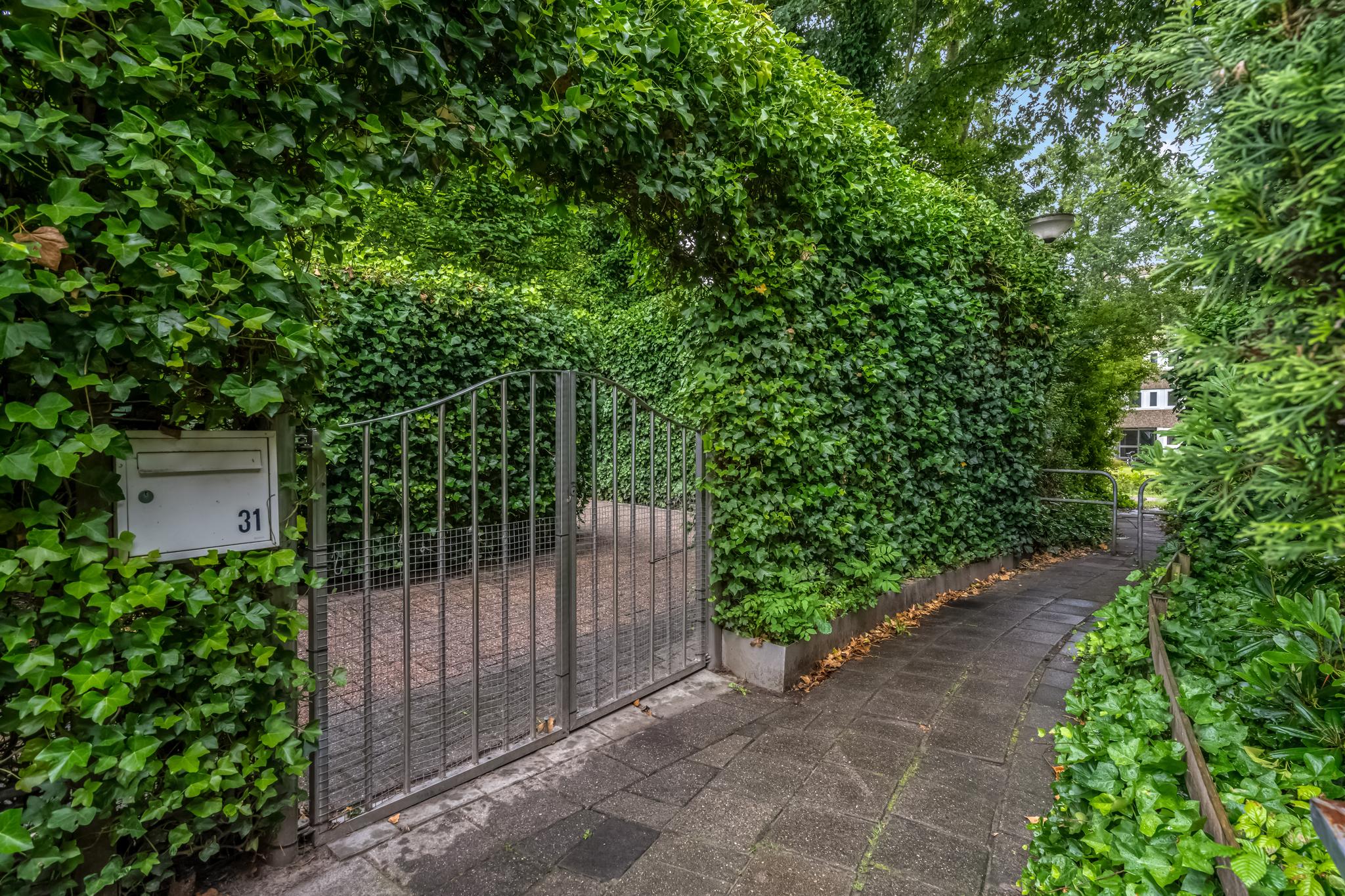 Stuurhut 31