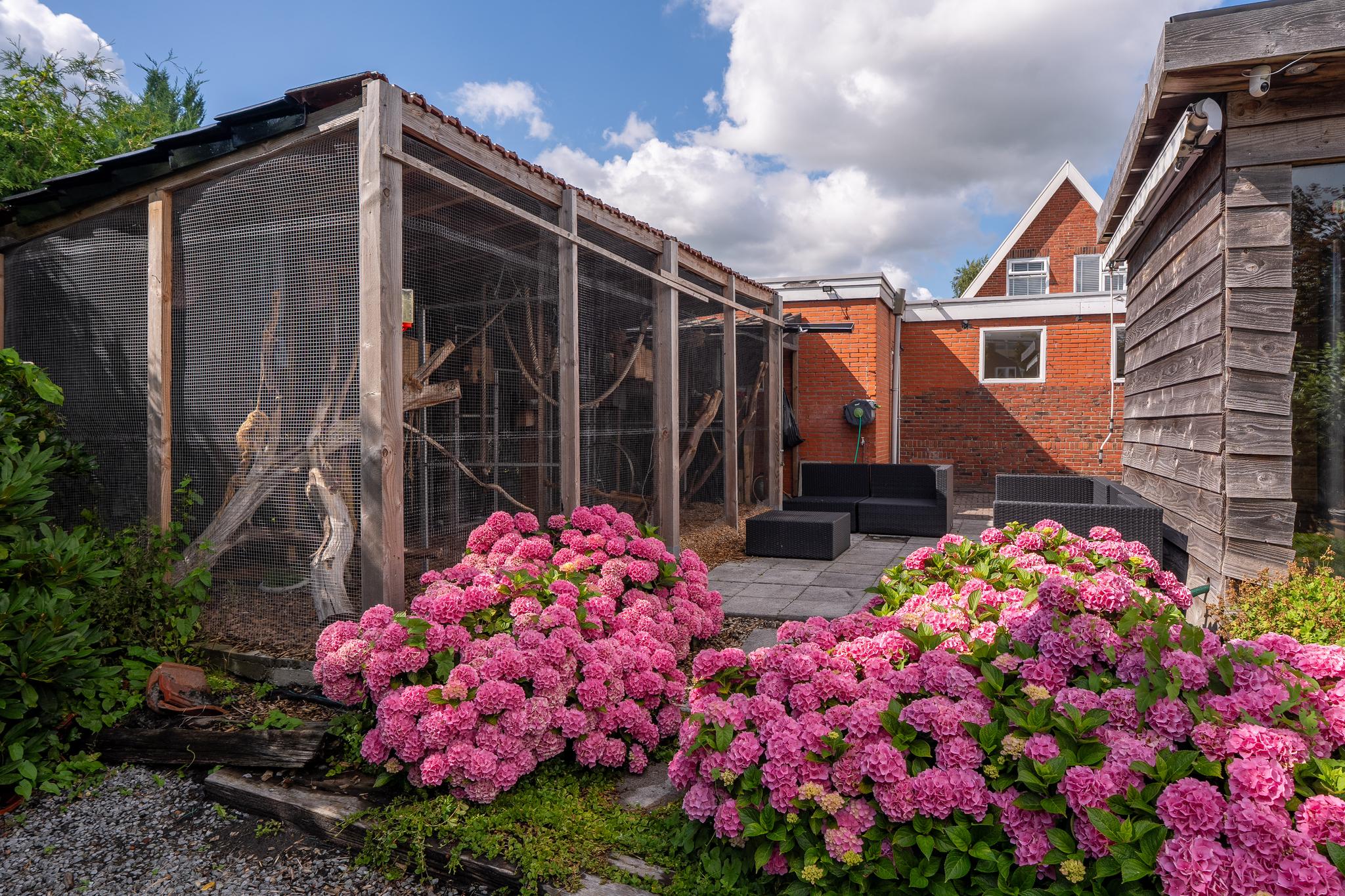 Burg v Roijenstr Oost 47