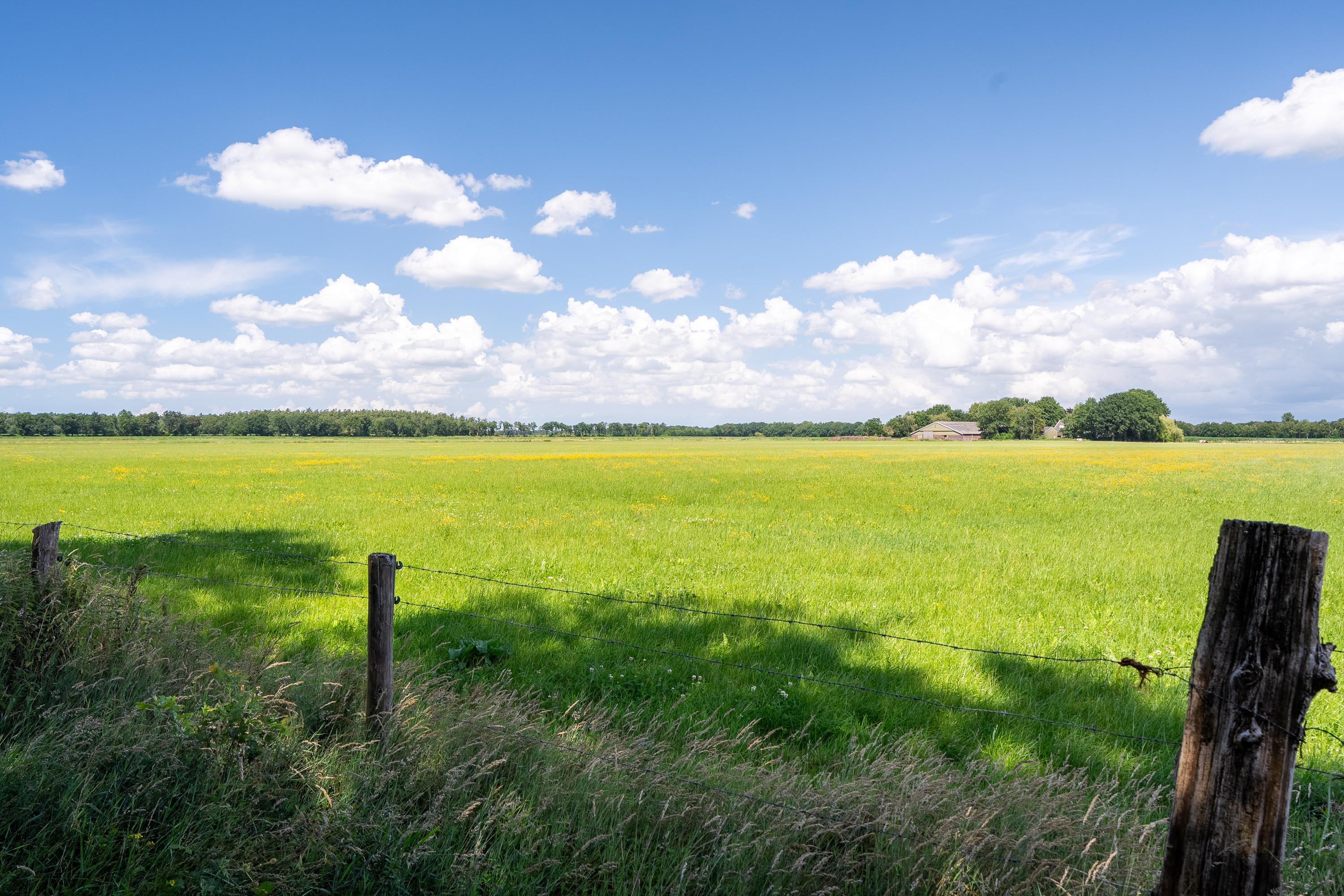 Tussenlaan 2