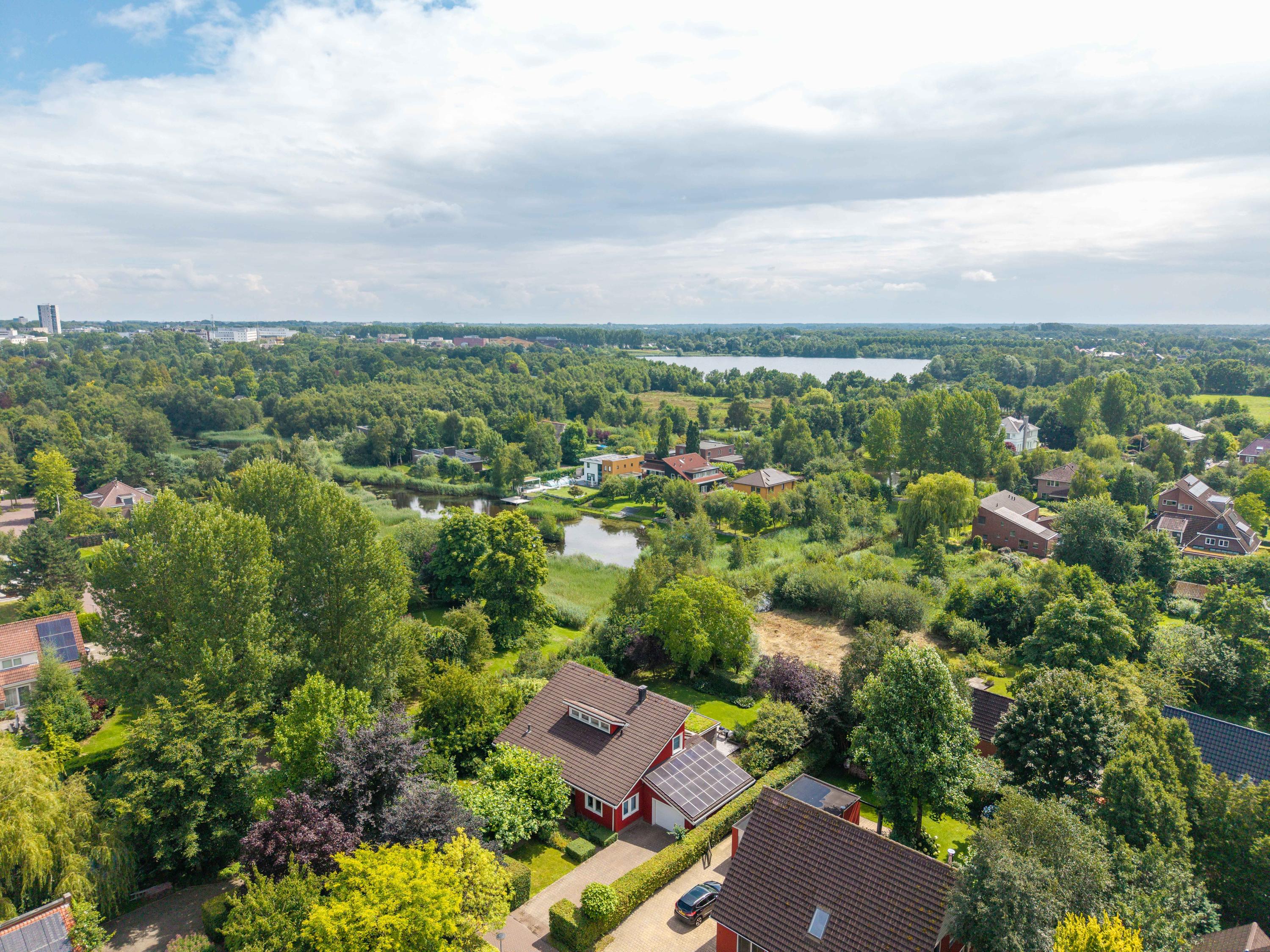 Roerdomp 3