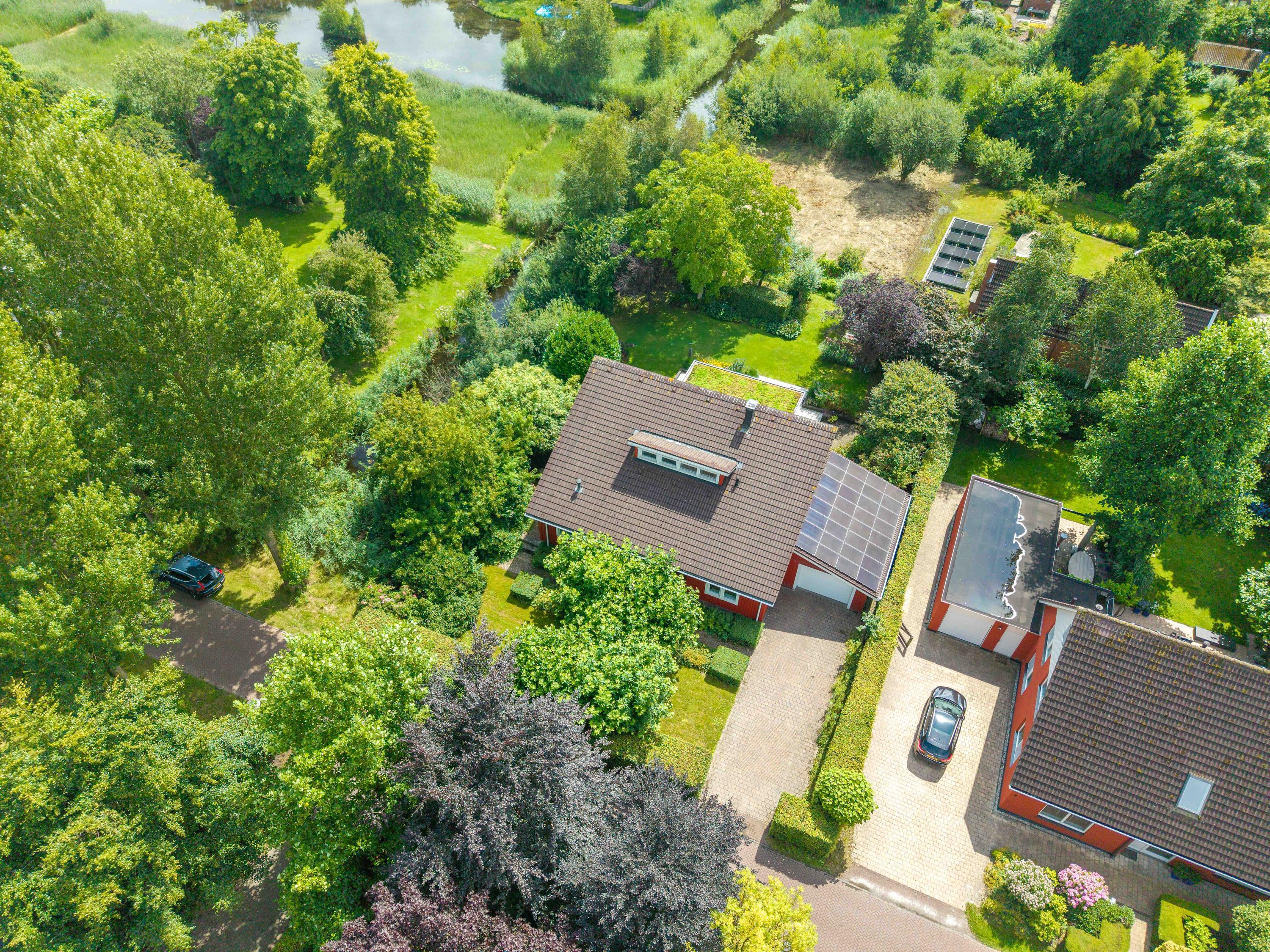 Roerdomp 3