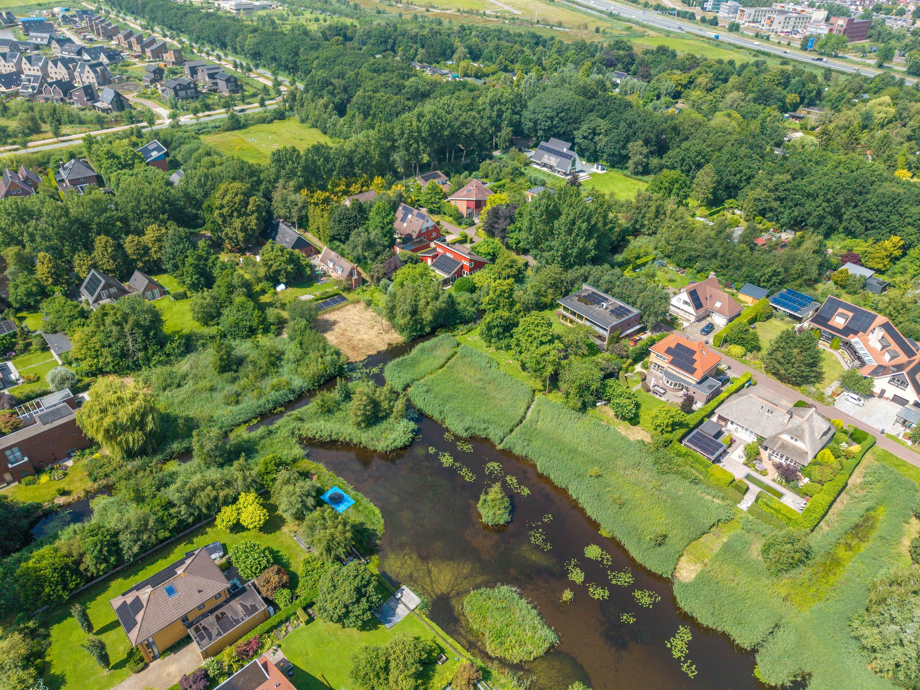 Roerdomp 3