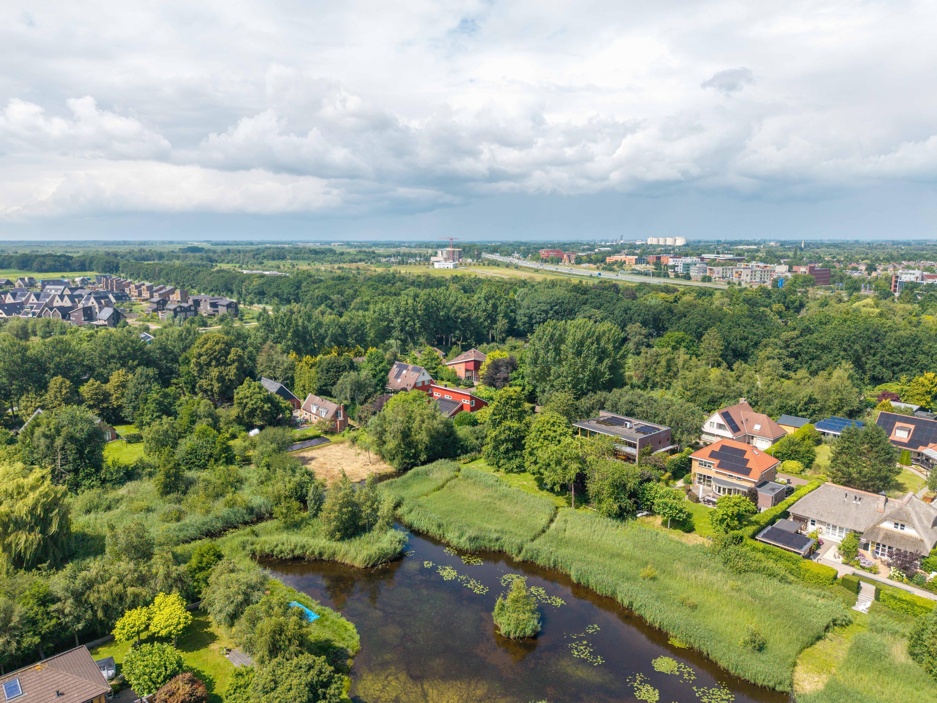 Roerdomp 3