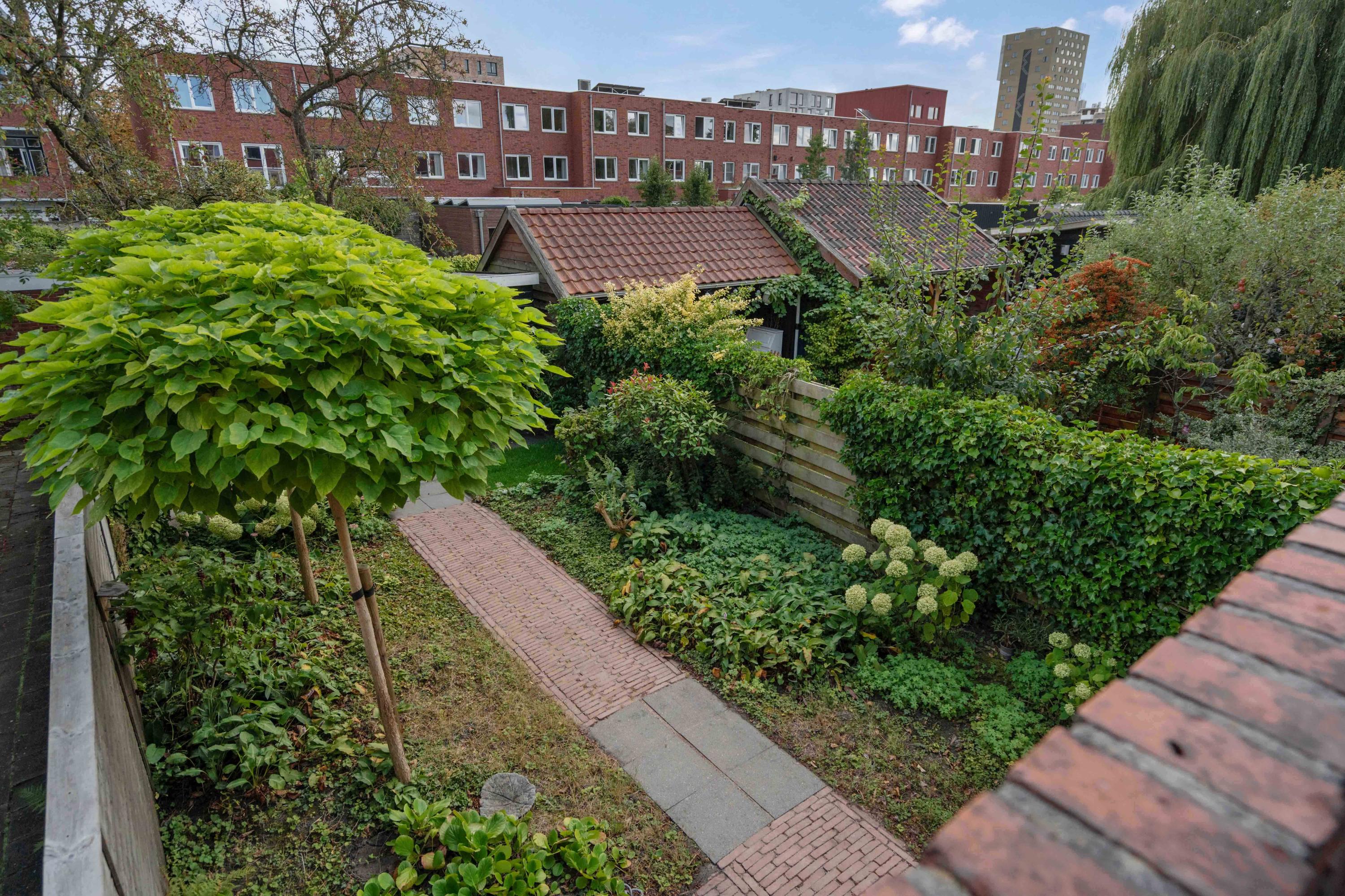 Star Numanstraat 63