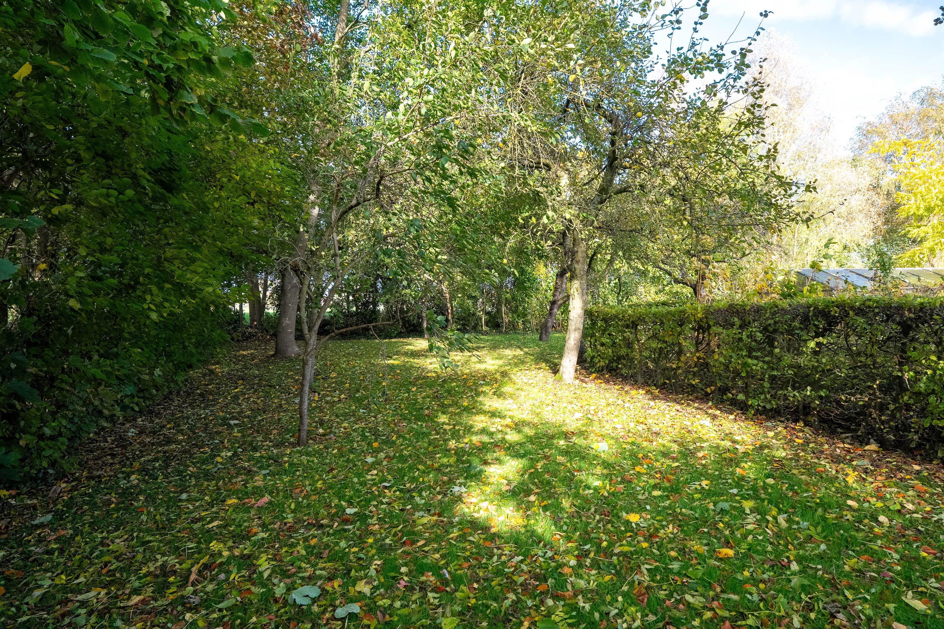 Groningerstraatweg 23