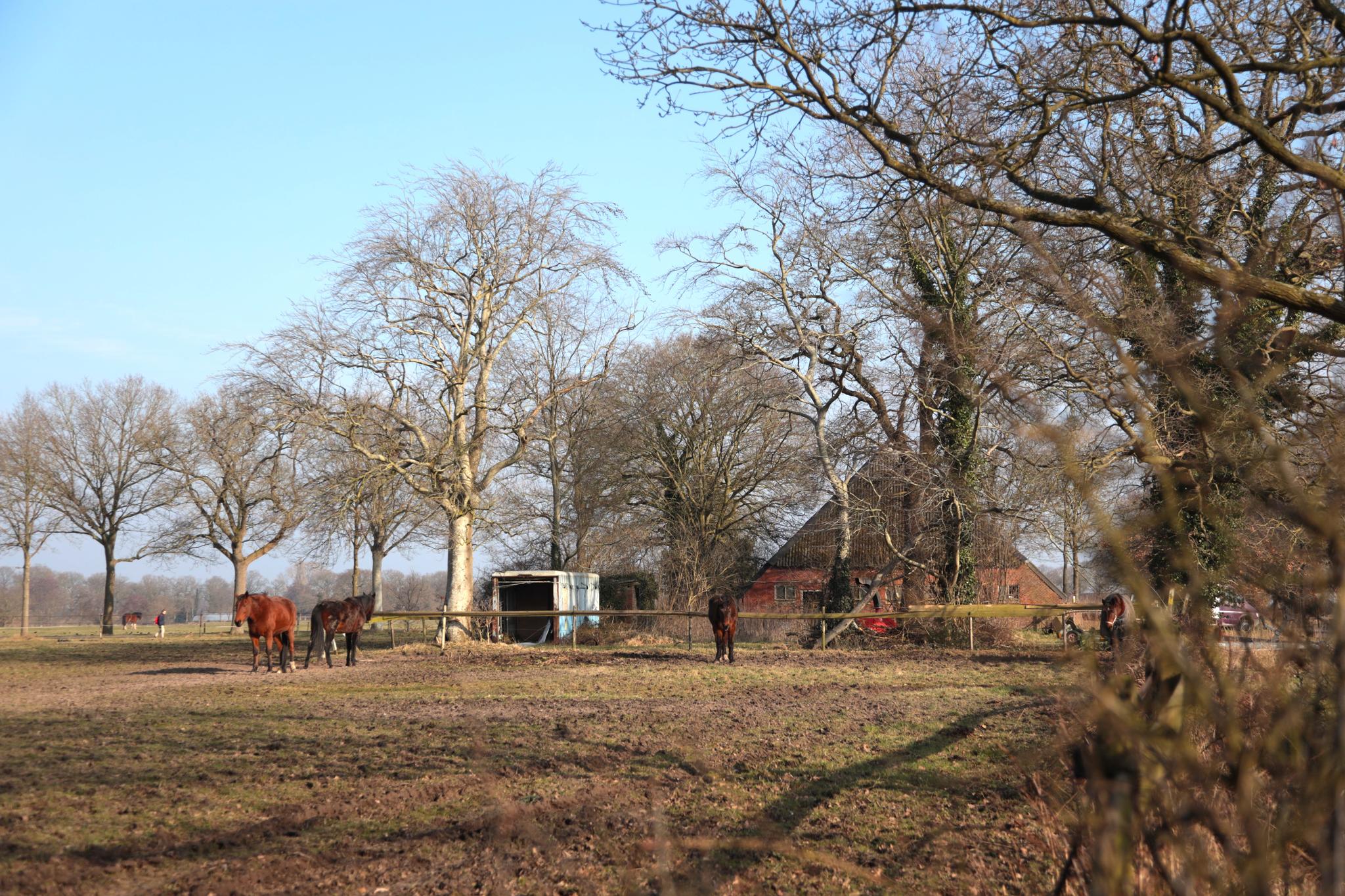 Zuidlaarderweg 47