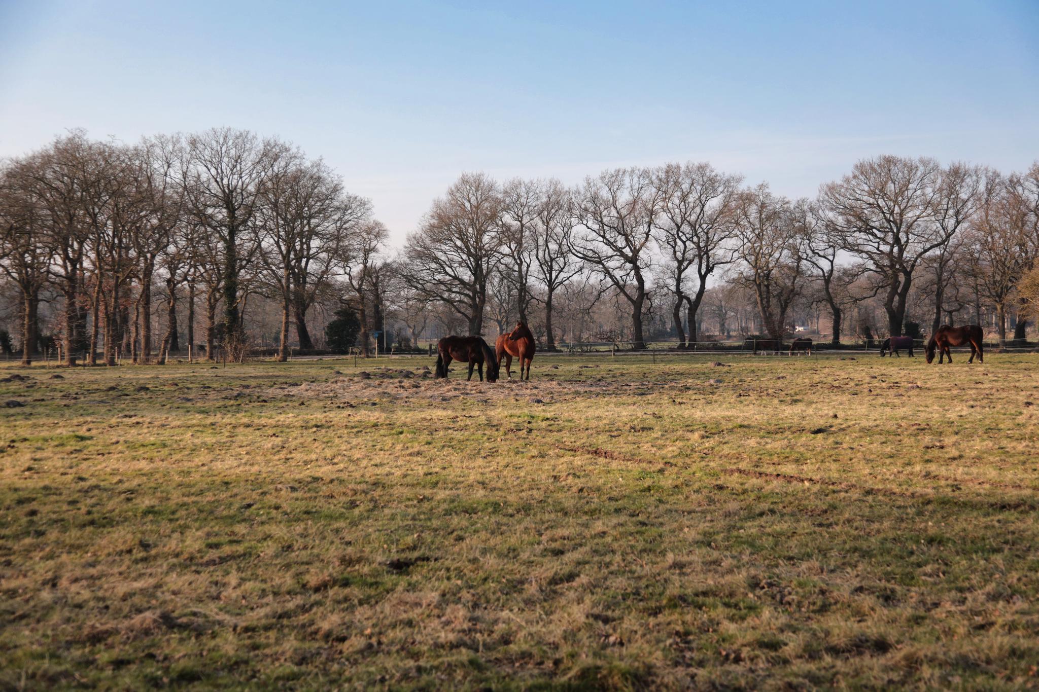 Zuidlaarderweg 47