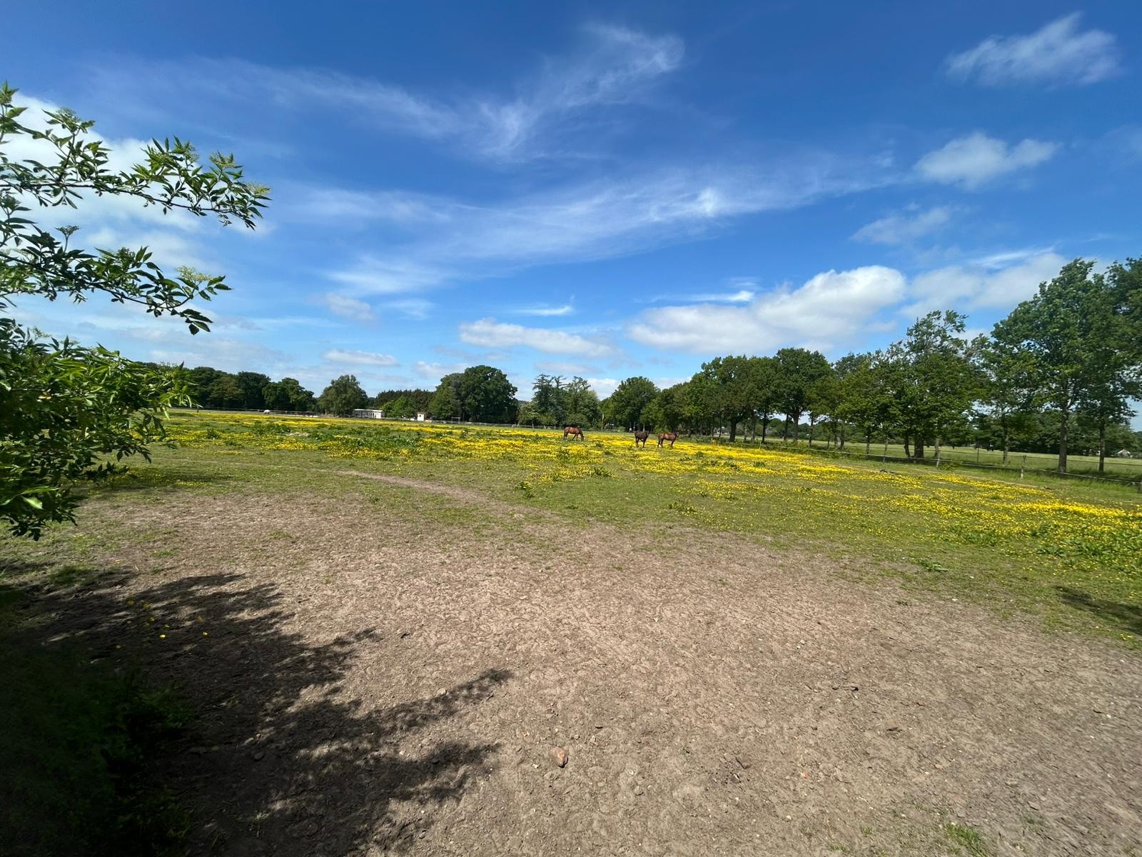 Zuidlaarderweg 47